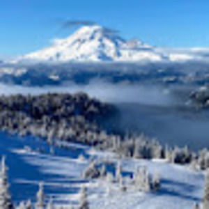 Meet your Posher, Shreela